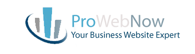 ProWebNow-logo2