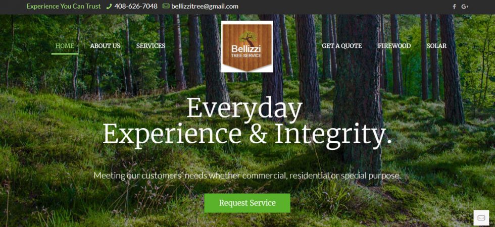 Bellizzi Tree Service