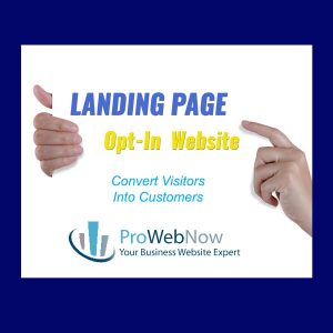ProWebNow, Landing Page, Web Design