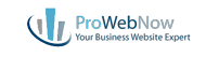 ProWebNow, Business Websites, Logo