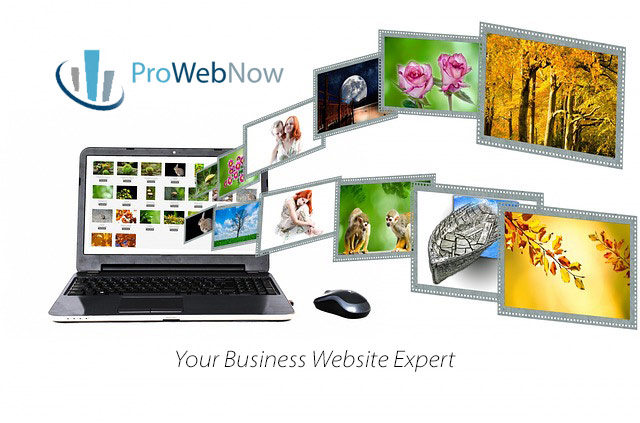 (c) Prowebnow.net
